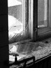 [+]  - 