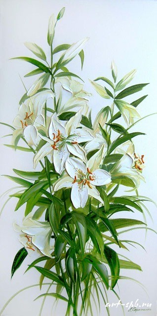 http://img1.liveinternet.ru/images/foto/b/1/apps/1/151/1151279_belie_lilii.jpg