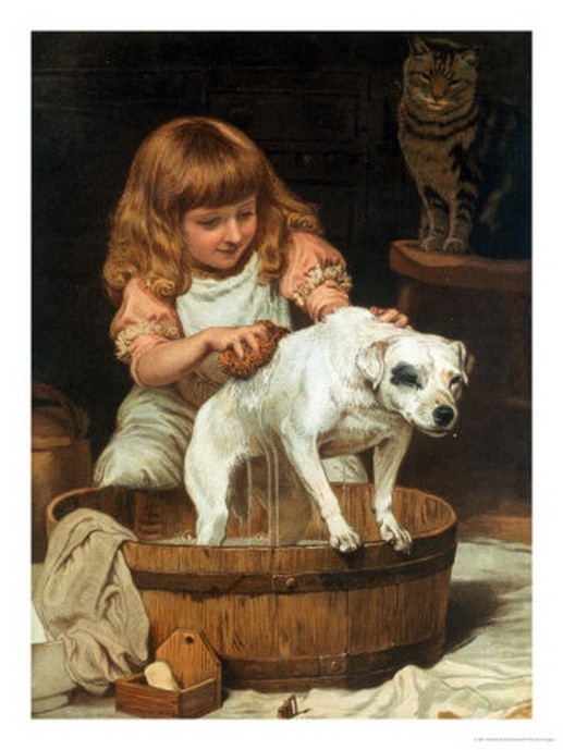The Order of the Bath