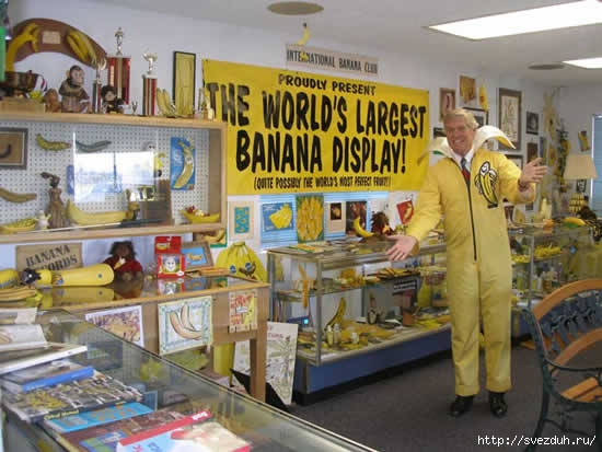 банановая коллекция