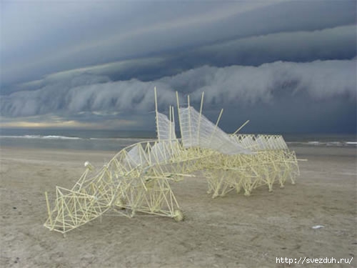 strandbeest