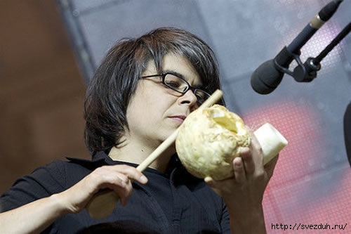 vienna vegetable orchestra