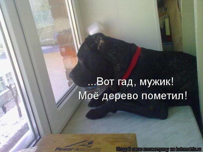 http://img1.liveinternet.ru/images/foto/b/2/apps/1/614/1614797_525580.jpg