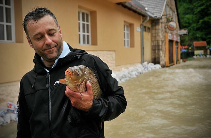 В селе Felsohamor, Венгрия, 16 Мая 2010 года.