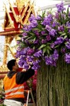 В Лондоне открылось Chelsea Flower Show, Англия, 25 мая 2010 года.