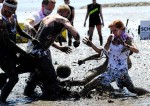 Мад Олимпийские игры (Mud Olympics) в устье реки Эльбы недалеко от Гамбурга, 6 июня 2010 года.