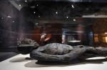 'Мумии мира' ('Mummies of the World'): выставка в Калифорнийском научном центре Лос-Анджелеса, 30 июня 2010 года.