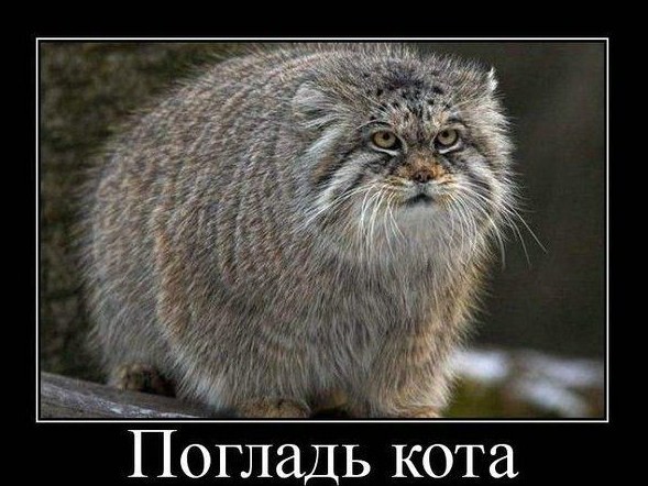 Пожарные машины тушить пожар играть онлайн