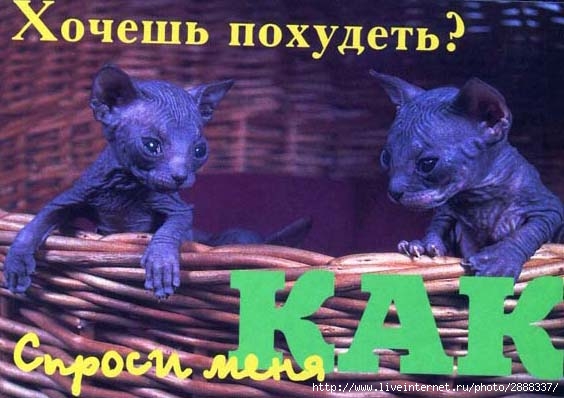 Заговор чтобы похудеть