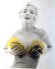 [+]  - Bern Stern. Marilyn Monroe: from the Last Sitting, 1962(Yellow Roses)