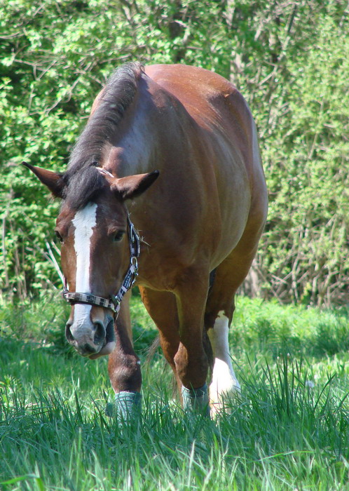 f_13009104.jpg