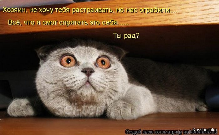 http://img1.liveinternet.ru/images/foto/b/3/apps/0/144/144527_ht.jpg
