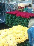 Штабеля роз по десять рублей