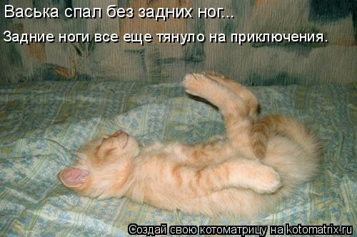 Котоматрица - 6 - Страница 10 932575_370471