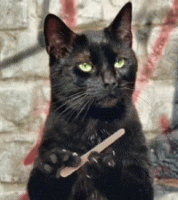 f_20726076.gif