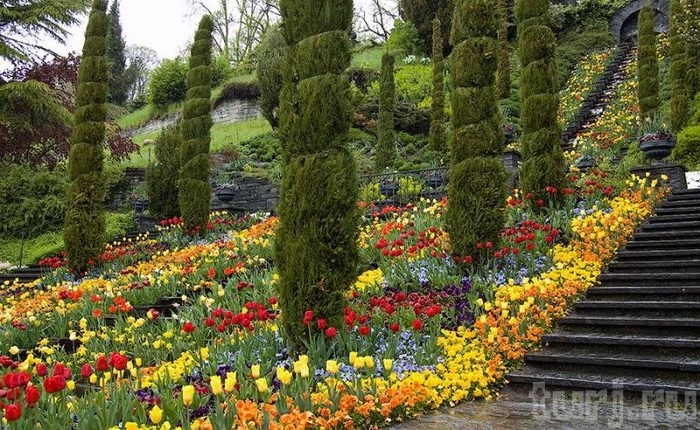 Almanya Mainau Adası, dünya üzerinde bir cennet, Almanya Konstanz Gölü Üzerinde Maina Almanya Mainau Adası, dünya üzerinde bir cennet, Almanya Konstanz Gölü Üzerinde Maina