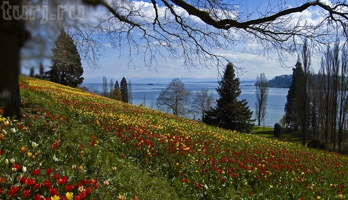 Almanya Mainau Adası, dünya üzerinde bir cennet, Almanya Konstanz Gölü Üzerinde Maina Almanya Mainau Adası, dünya üzerinde bir cennet, Almanya Konstanz Gölü Üzerinde Maina