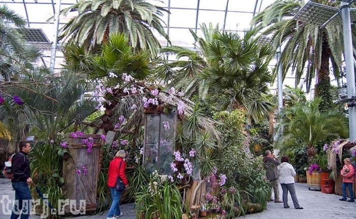 Almanya Mainau Adası, dünya üzerinde bir cennet, Almanya Konstanz Gölü Üzerinde Maina Almanya Mainau Adası, dünya üzerinde bir cennet, Almanya Konstanz Gölü Üzerinde Maina