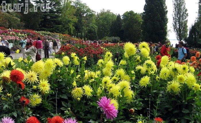 Almanya Mainau Adası, dünya üzerinde bir cennet, Almanya Konstanz Gölü Üzerinde Maina Almanya Mainau Adası, dünya üzerinde bir cennet, Almanya Konstanz Gölü Üzerinde Maina