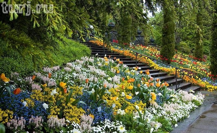 Almanya Mainau Adası, dünya üzerinde bir cennet, Almanya Konstanz Gölü Üzerinde Maina Almanya Mainau Adası, dünya üzerinde bir cennet, Almanya Konstanz Gölü Üzerinde Maina