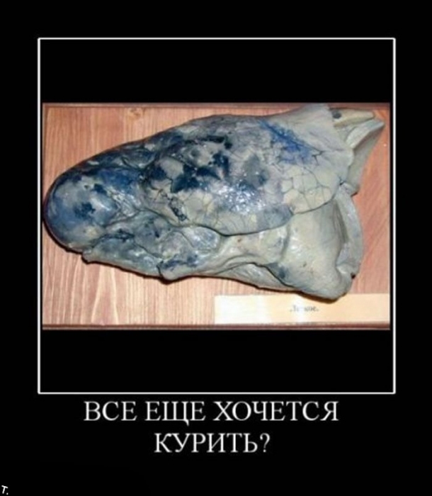 Алкоголизм пивной стихотворение