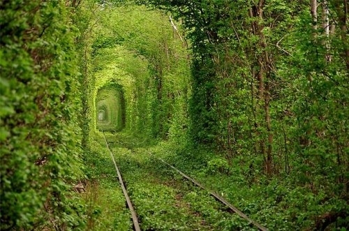 Туннель Любви у города Клевань в Украине.