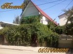    -   Akvareli