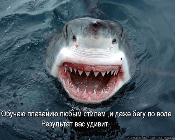 Передали найти человека по дате рождения замечание йогина