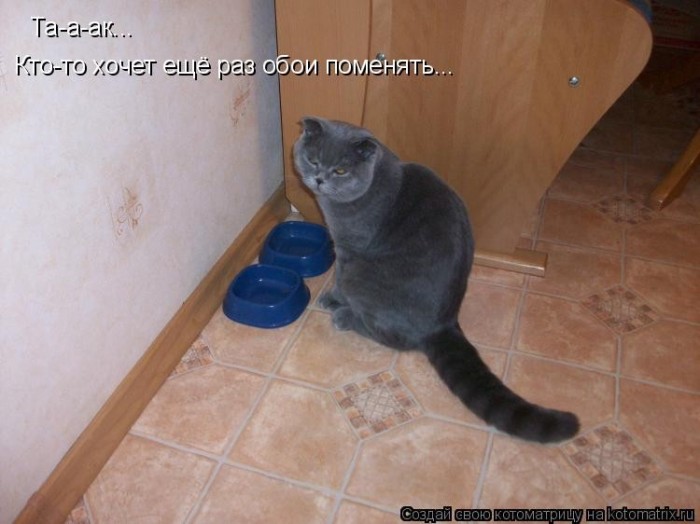 КотоМатрицы