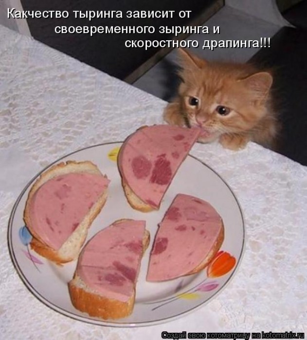 КотоМатрицы
