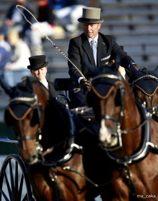 Всемирные конные игры (World Equestrian Games) в Лексингтоне, штат Кентукки, 27 сентября - 7 октября 2010 года.