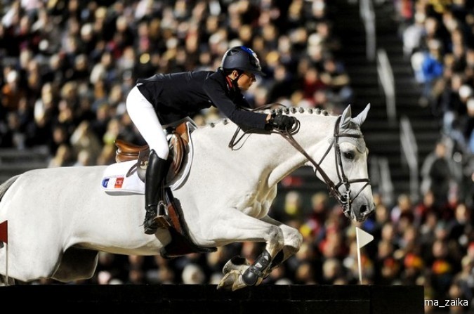 Всемирные конные игры (World Equestrian Games) в Лексингтоне, штат Кентукки, 27 сентября - 7 октября 2010 года.