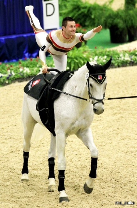 Всемирные конные игры (World Equestrian Games) в Лексингтоне, штат Кентукки, 27 сентября - 7 октября 2010 года.