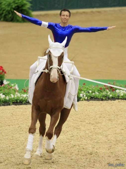 Всемирные конные игры (World Equestrian Games) в Лексингтоне, штат Кентукки, 27 сентября - 7 октября 2010 года.