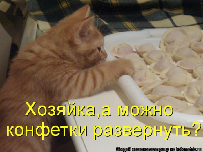 КотоМатрицы