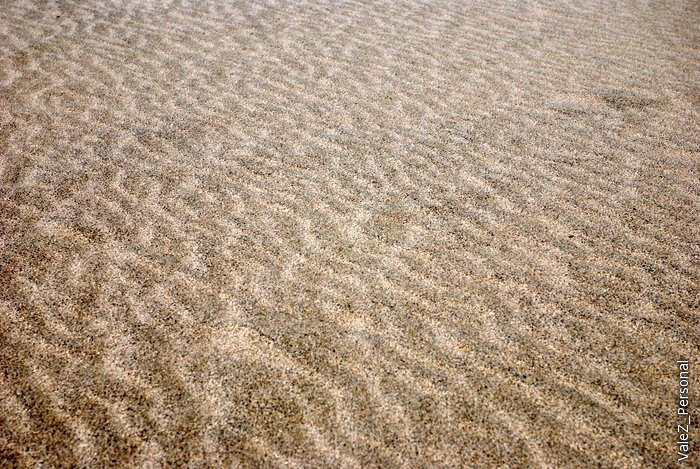 Рисунки ветра на песке. Гид сказал, что нам очень повезло (как и всю поездку), не так часто бывает правильный ветер, который рисует узоры