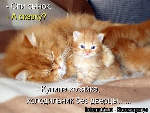 КотоМатрицы