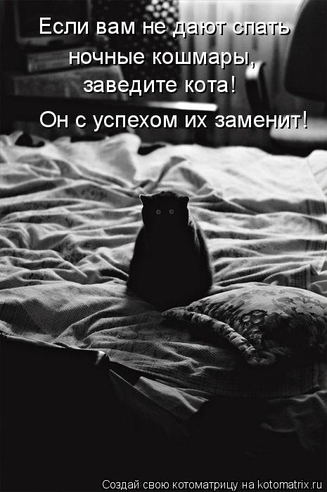 КотоМатрицы 