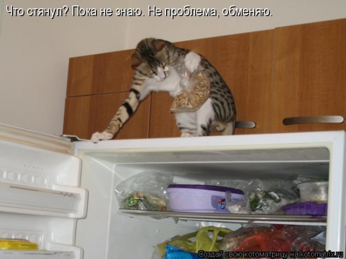 КотоМатрицы