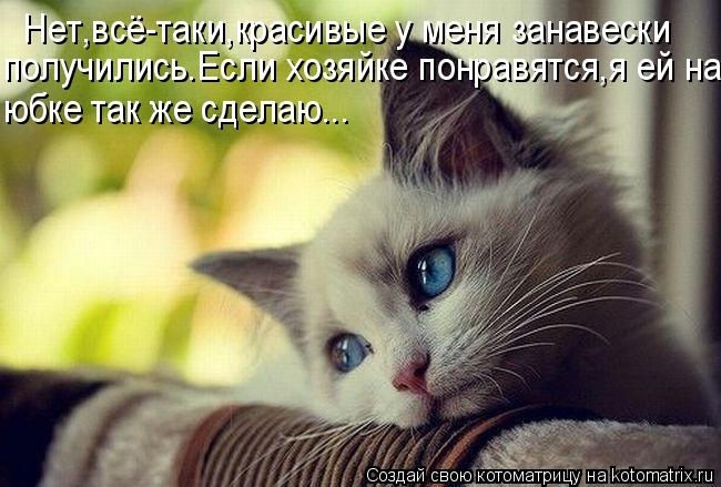 КотоМатрицы