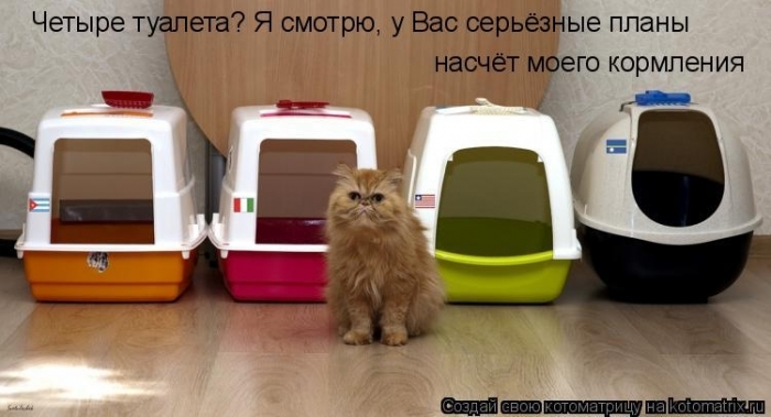 КотоМатрицы