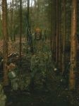      ,  MG-3