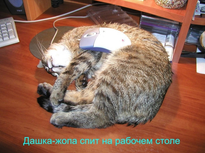 (699x524, 209Kb)