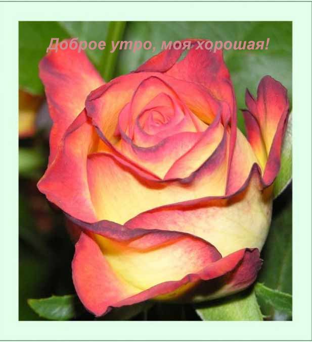  (617x678, 43Kb)