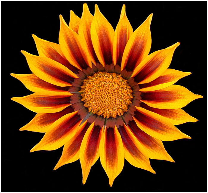  (700x648, 151Kb)