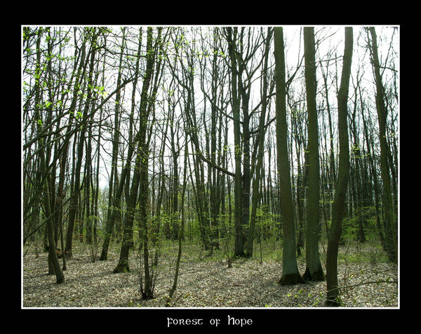  (600x477, 124Kb)