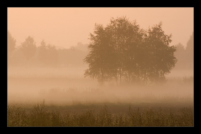  (700x467, 122Kb)