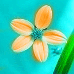  (150x150, 28Kb)