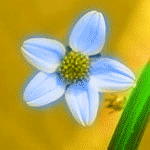  (150x150, 79Kb)