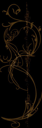  (150x450, 38Kb)